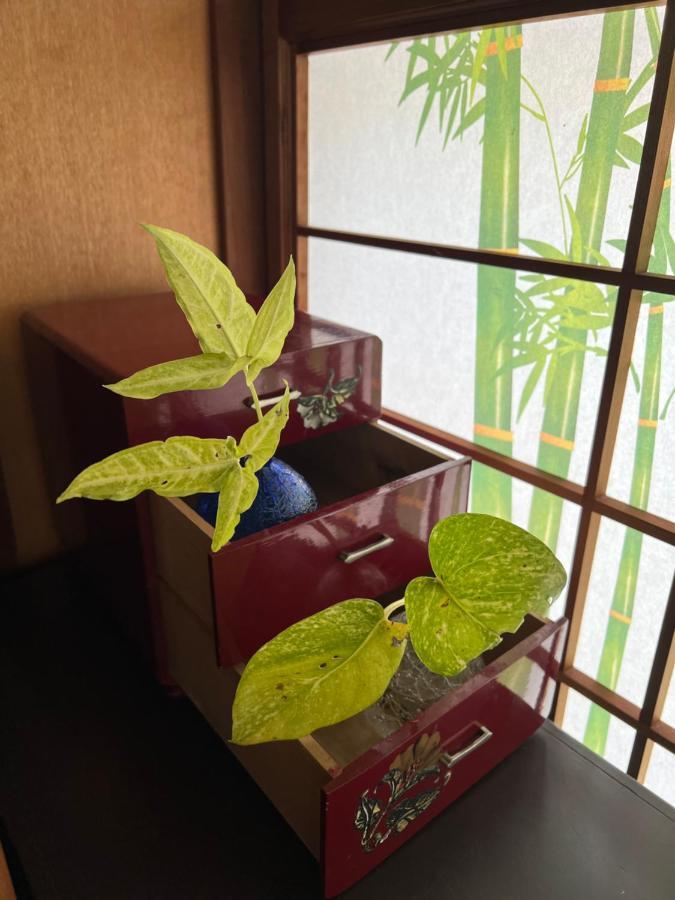 Вилла ゆい屋 Ishigaki  Экстерьер фото